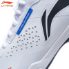 Badminton Shoes (AYZT005)