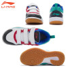 Badminton Shoes (AYTR028)