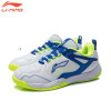Badminton Shoes (AYTR032)