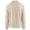 Sweatshirt (AWDSD43)