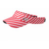Sun Visor