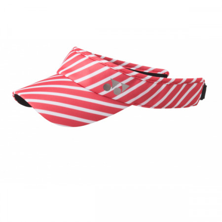 Sun Visor