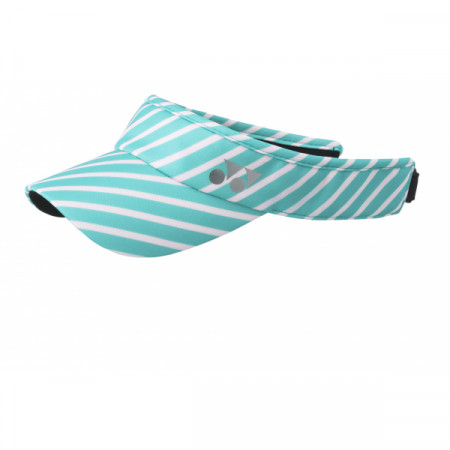 Sun Visor